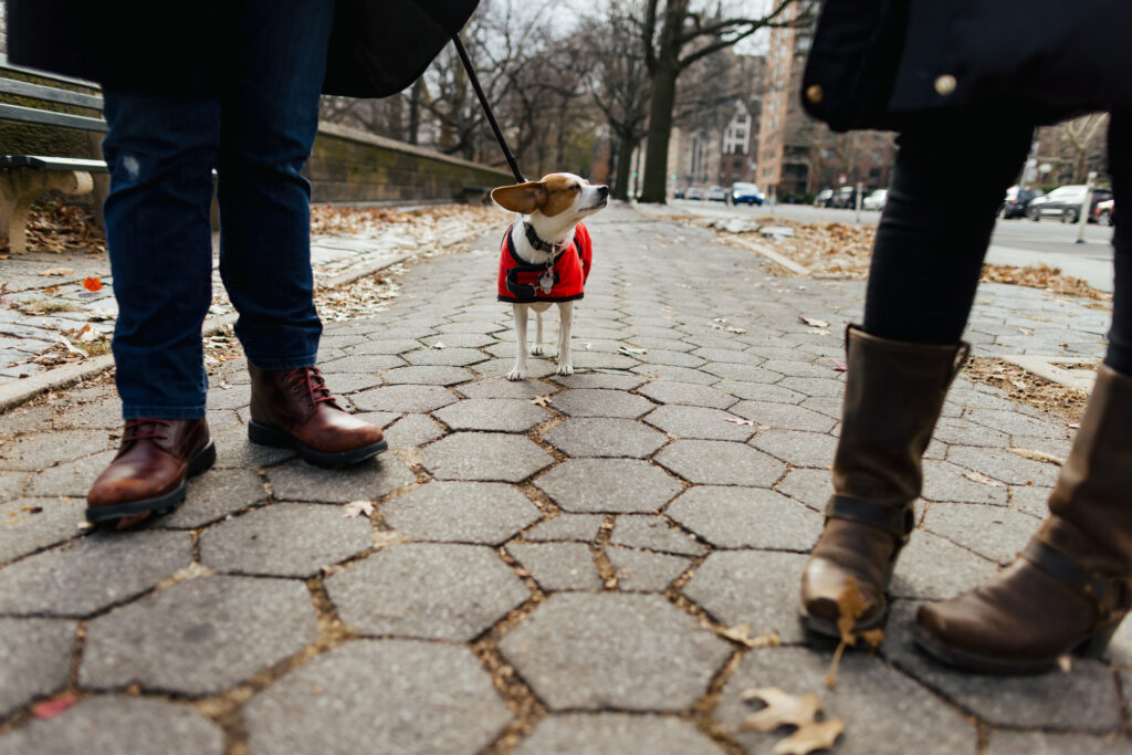 Documentary Engagement Photographer Hudson Valley