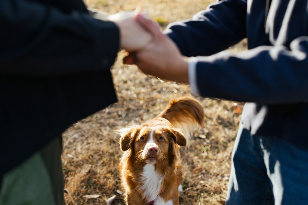 LGBTQ+ Proposal Photographer Hudson Valley New York