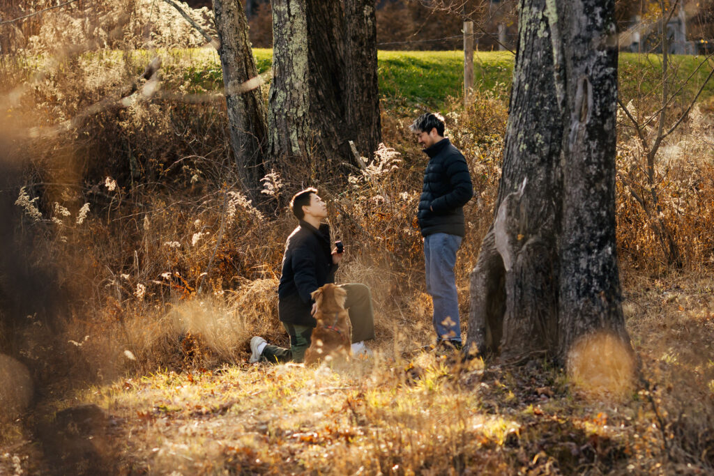 Hudson Valley Proposal Photographer