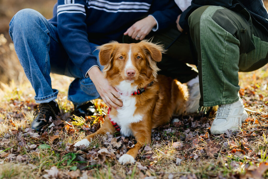 LGBTQ+ Proposal Photographer Hudson Valley New York