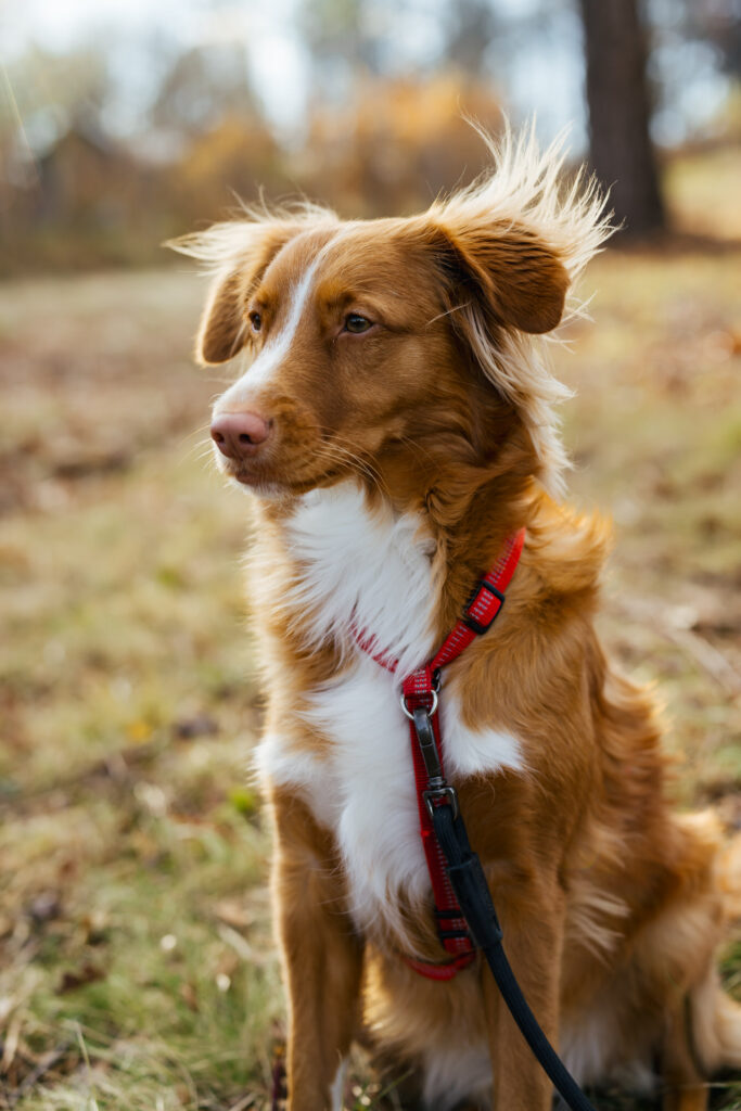 LGBTQ+ Proposal Photographer Hudson Valley New York