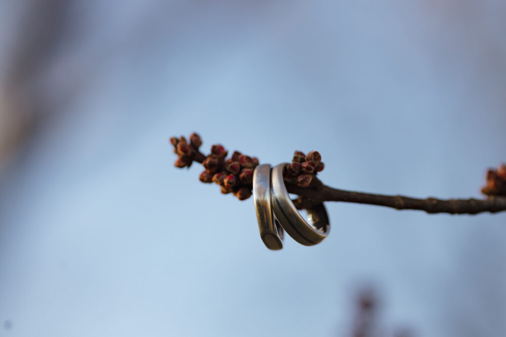 Surprise Proposal Photography Hudson Valley New York