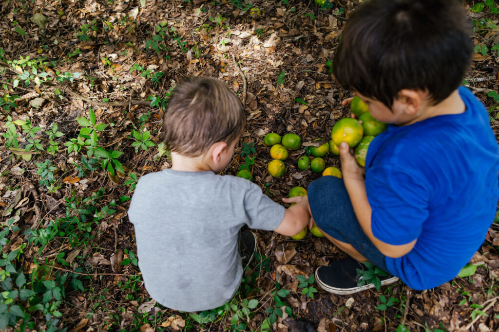 Albany Documentary Family Photographer