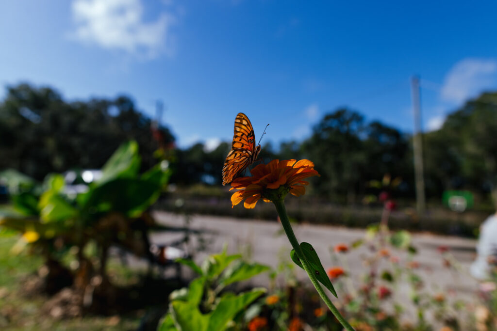 New York Documentary Family Photographer