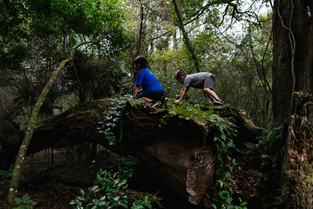 Albany Documentary Family Photographer