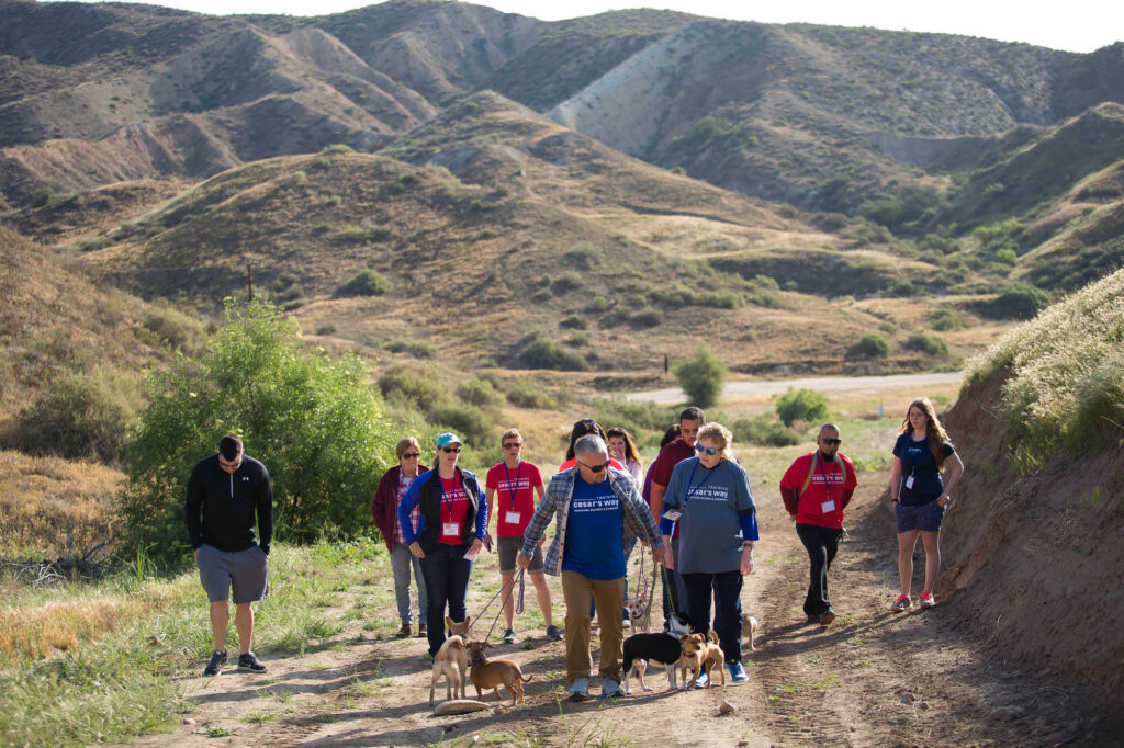 Capital Region Event Photographer