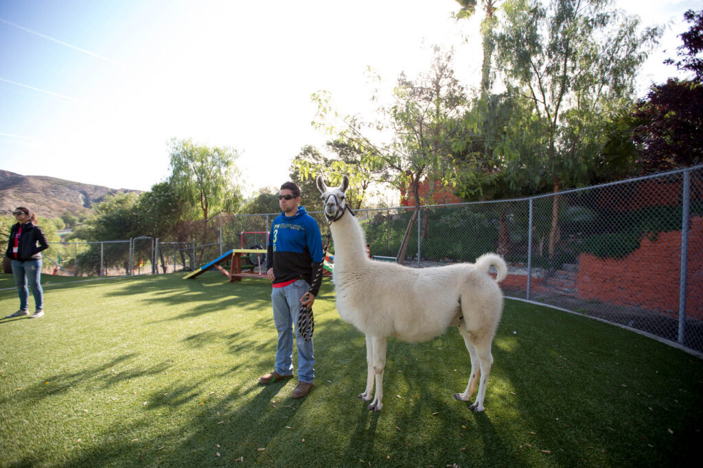 Capital Region Event Photographer