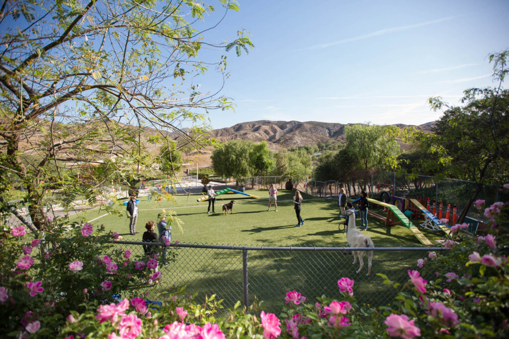 Capital Region Event Photographer