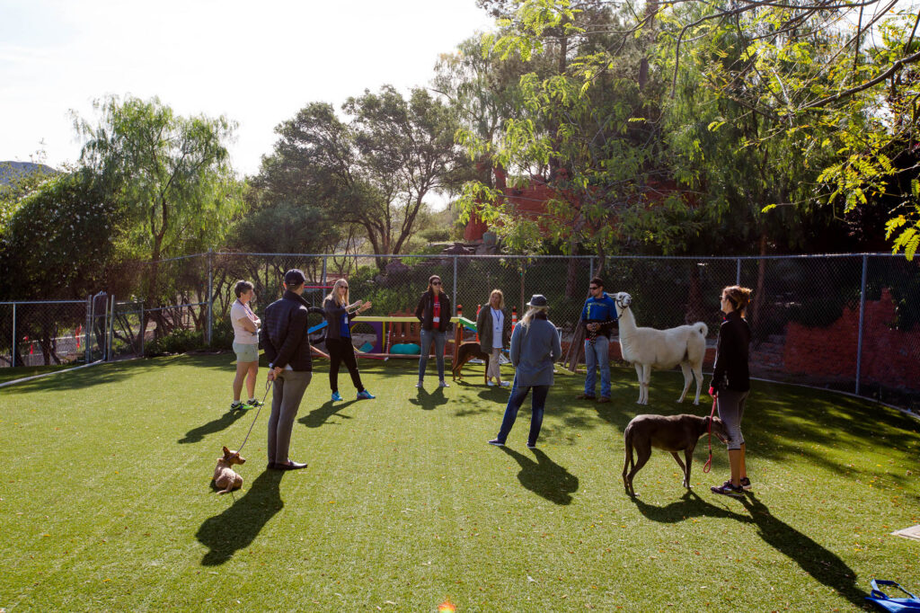 Capital Region Event Photographer