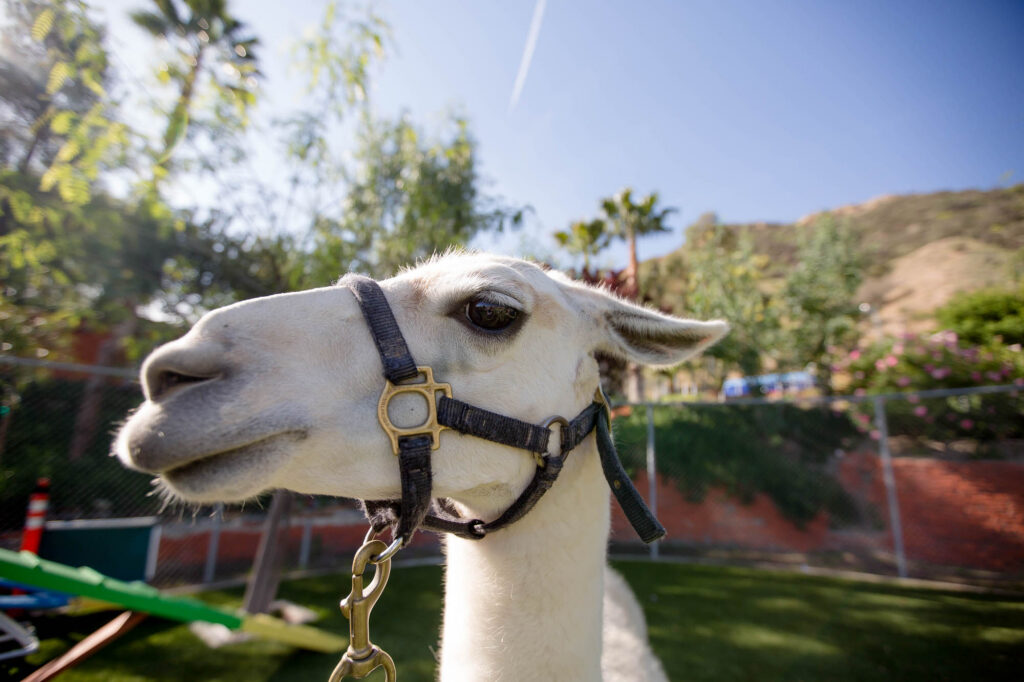 Capital Region Event Photographer