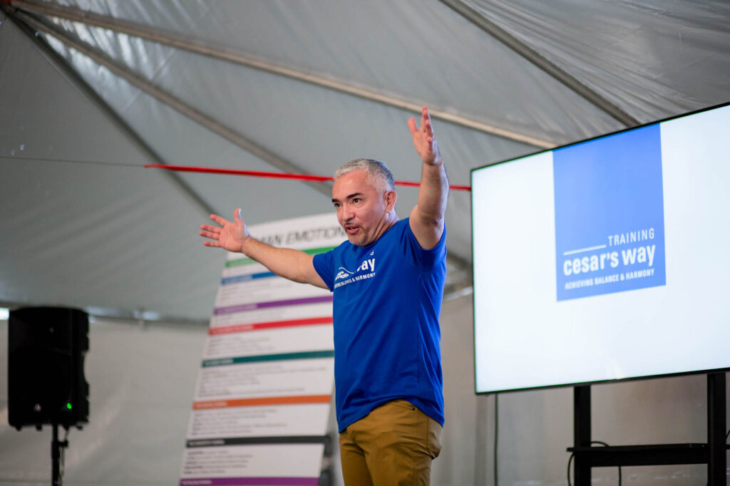 Capital Region Event Photographer