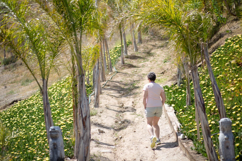 New York Corporate Event Photographer