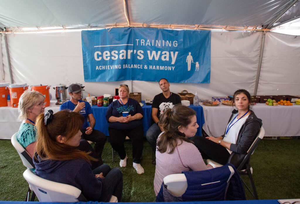 New York Corporate Event Photographer