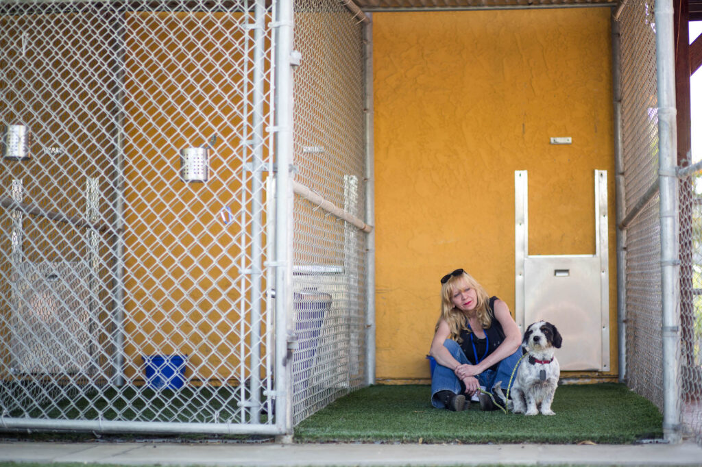 New York Corporate Event Photographer