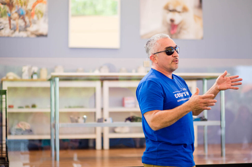 Albany Corporate Event Photographer