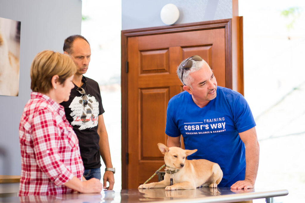 Albany Corporate Event Photographer