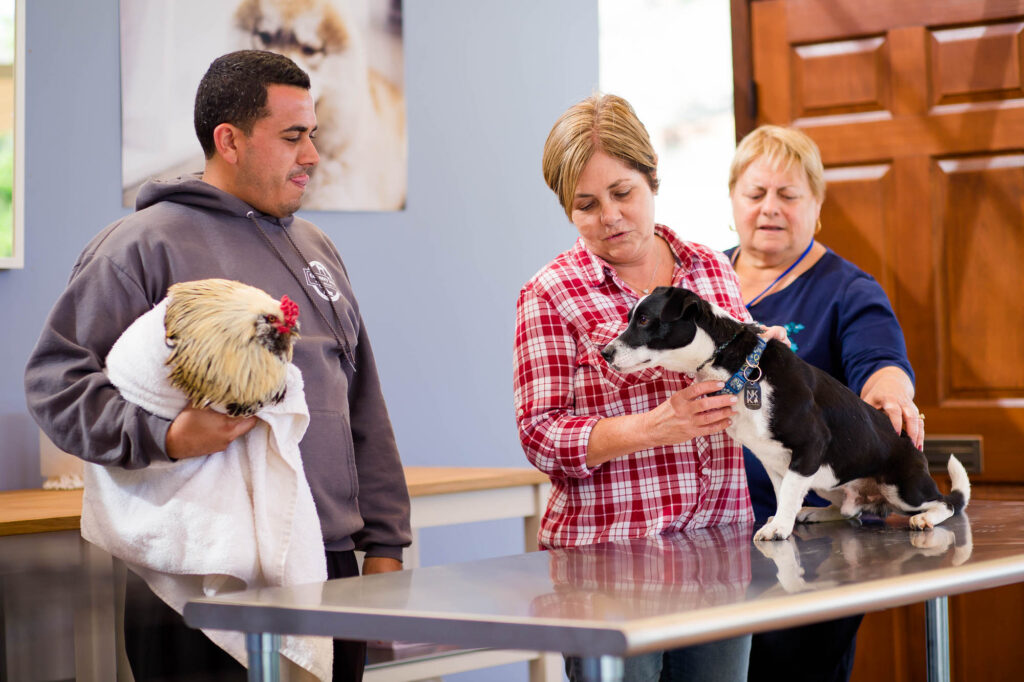 Albany Corporate Event Photographer