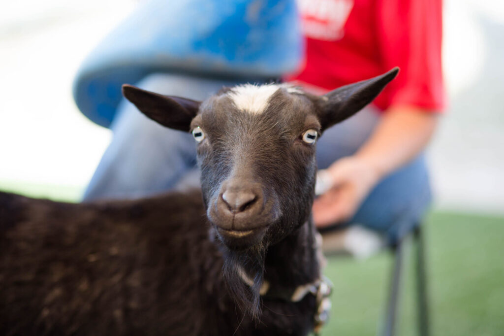 Albany Corporate Event Photographer