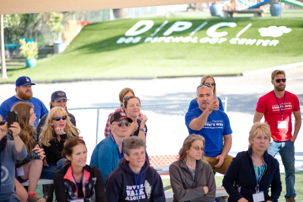 Albany Corporate Event Photographer