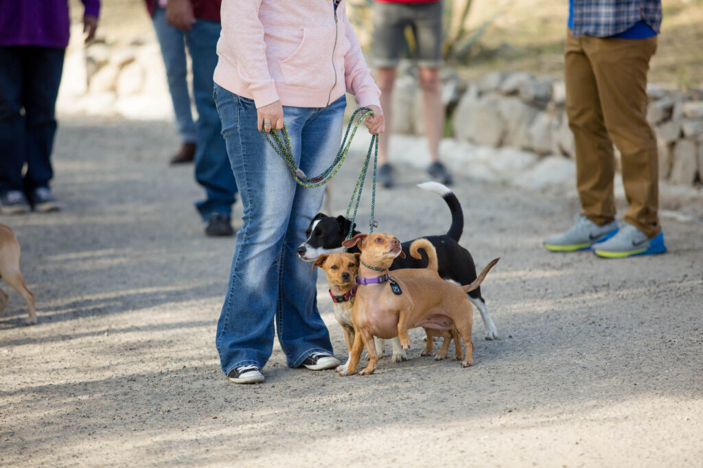 Albany New York Event Photographer