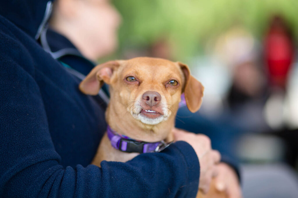 Albany Corporate Event Photographer