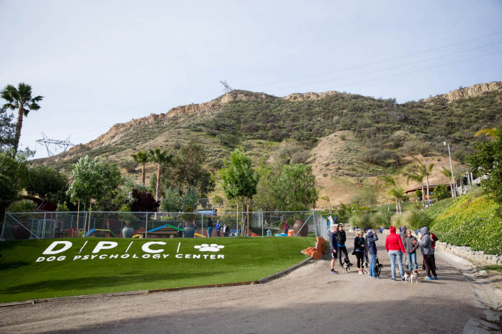 New York Event Photographer