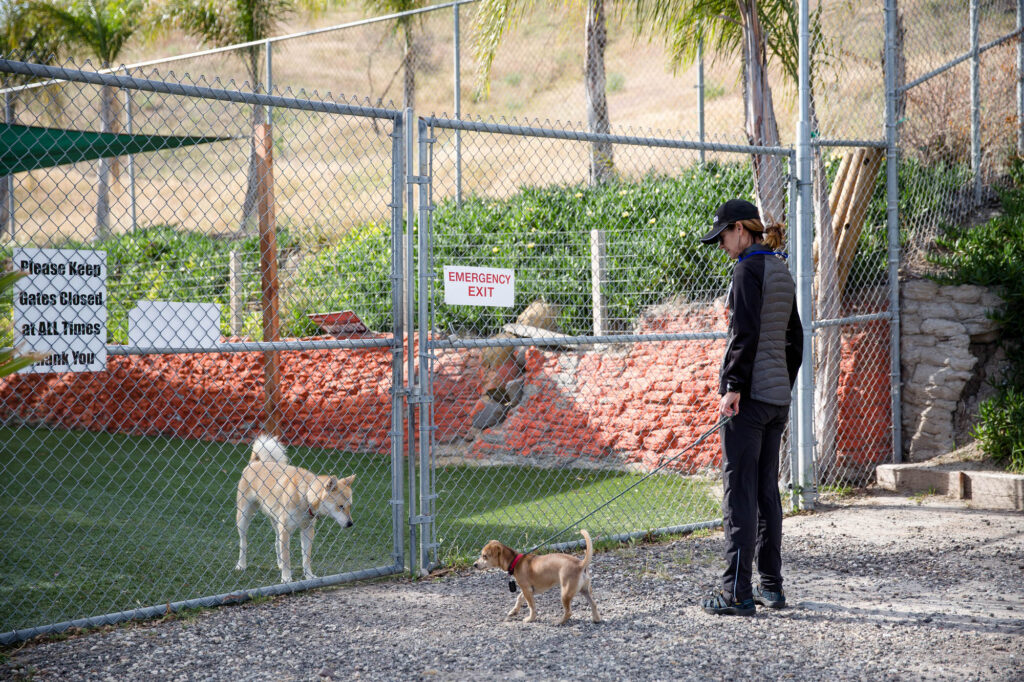 Albany Corporate Event Photographer