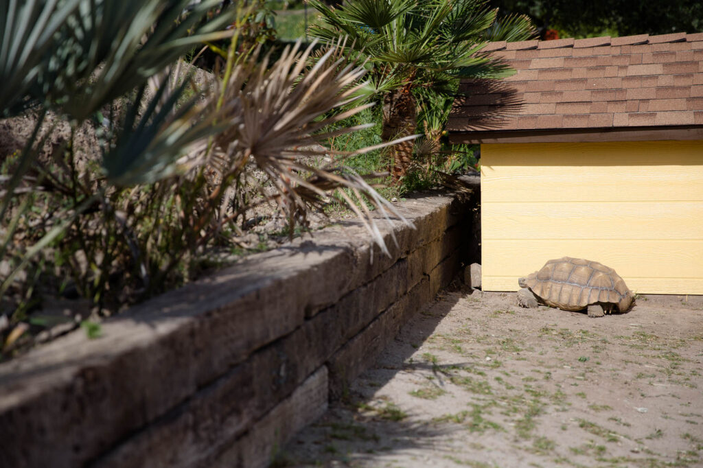 Albany Corporate Event Photographer