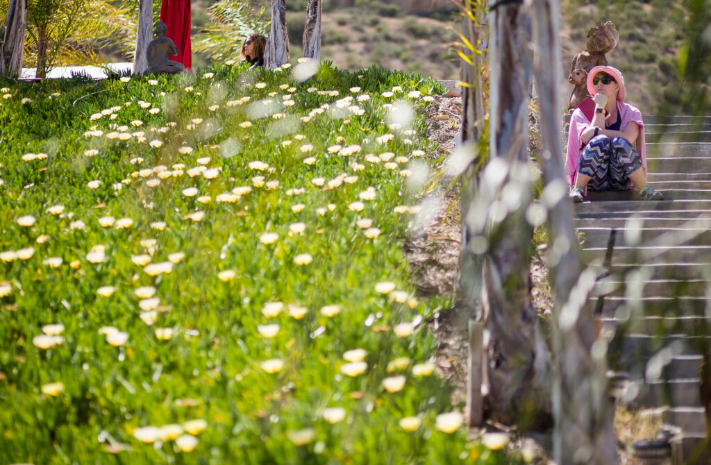 Albany Corporate Event Photographer