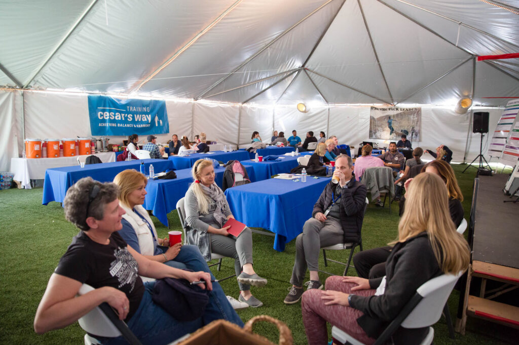 Albany Corporate Event Photographer