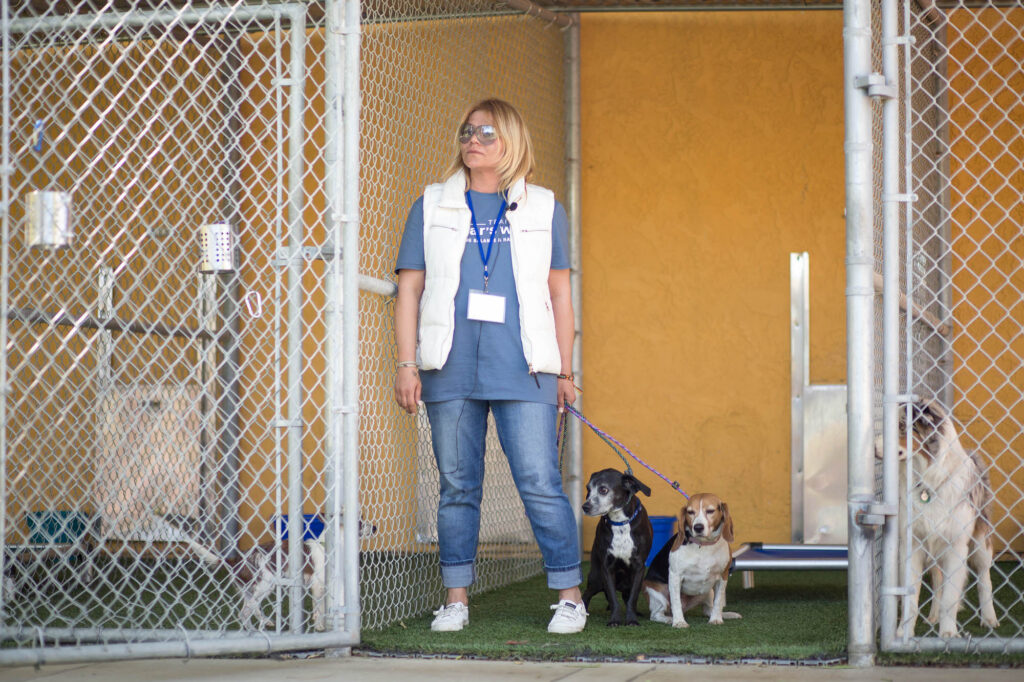 Albany Corporate Event Photographer