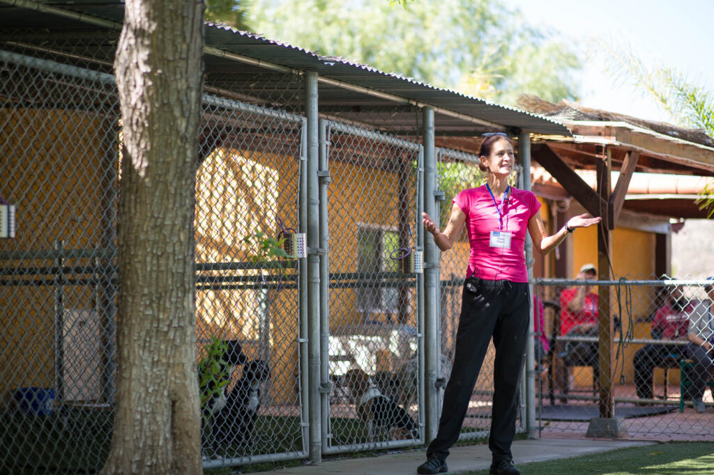 Albany Corporate Event Photographer