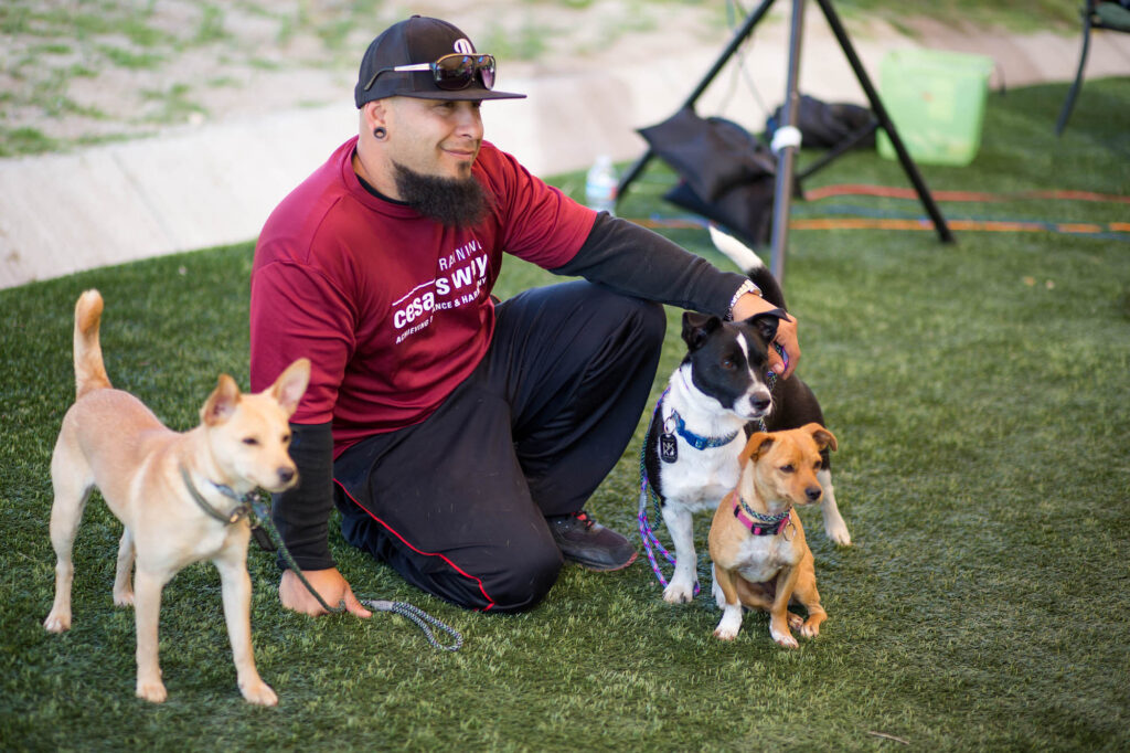 Albany Corporate Event Photographer