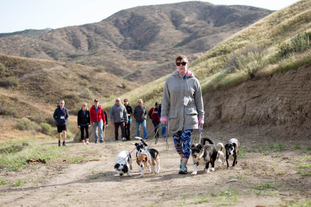 Albany Corporate Event Photographer