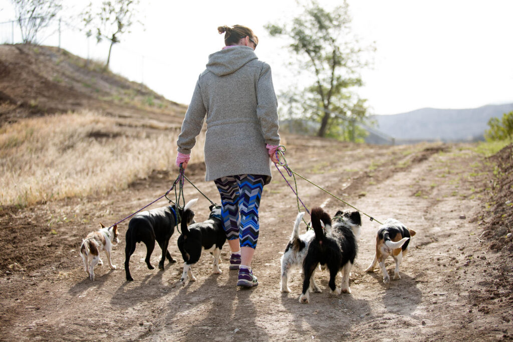 Albany Corporate Event Photographer