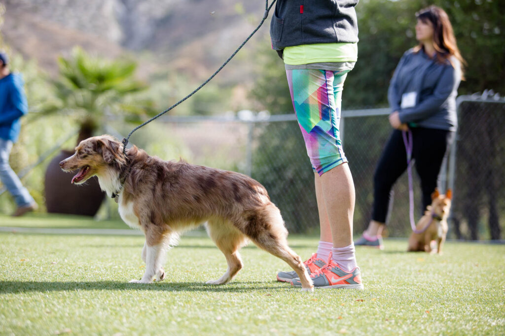 Albany Corporate Event Photographer