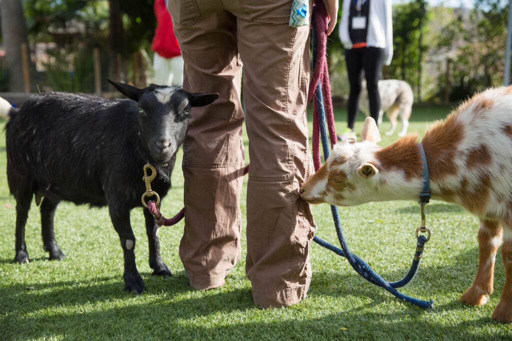 Albany Corporate Event Photographer