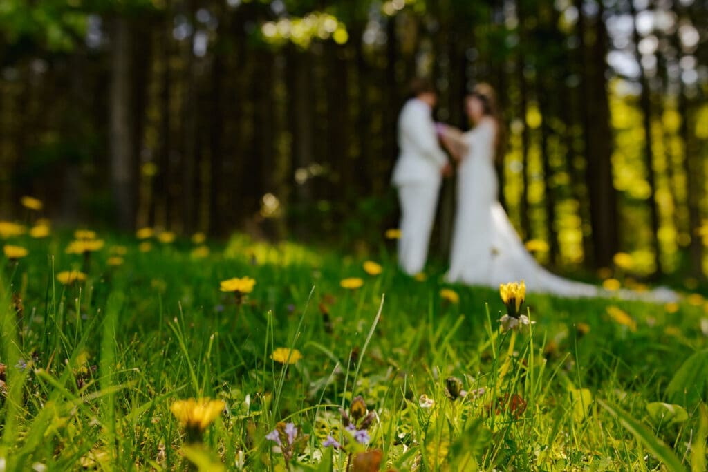Finger Lakes LGBTQ+ Wedding Photographer