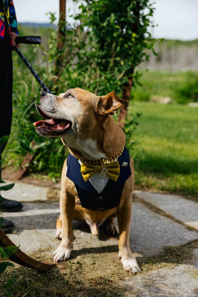 Adirondacks LGBTQ+ Wedding Ceremony